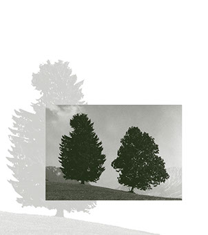 Alls im Leabe hot sei Zeit Musterseite