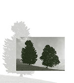 Alls im Leabe hot sei Zeit Musterseite