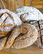 Allgäu mit Leidenschaft Musterseite