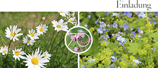 Beispiele Flyer Folder Plakat Karte Banner Logo