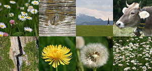 Beispiele Flyer Folder Plakat Karte Banner Logo