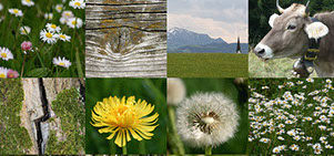 Beispiele Flyer Folder Plakat Karte Banner Logo